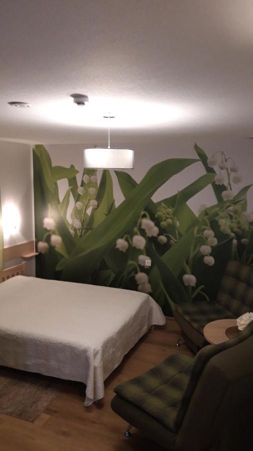Viesu Nams Zala Sala Hotell Litavniki Eksteriør bilde